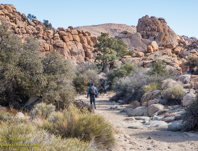Joshua Tree National Park