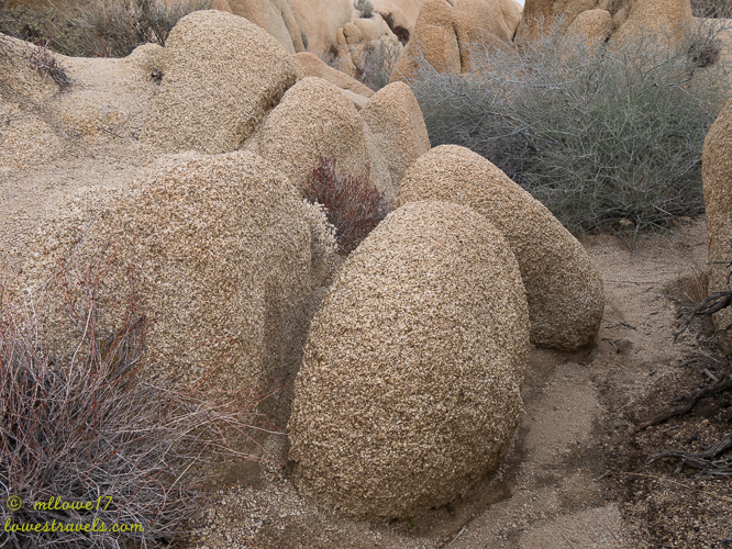 Joshua Tree National Park