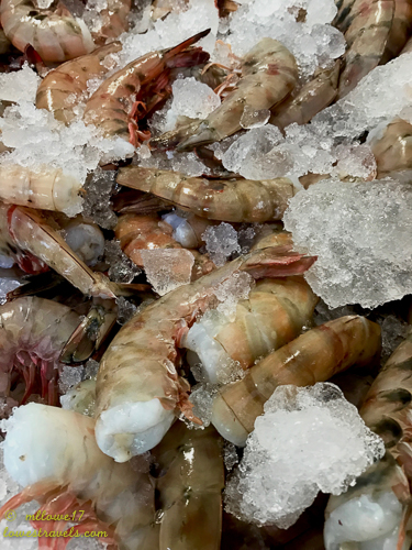 The second time around – Puerto Peñasco, Mexico