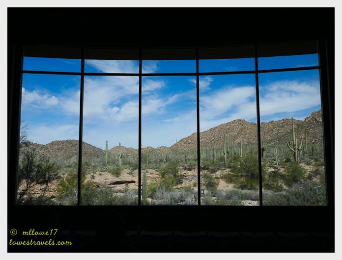 Saguaro National Park