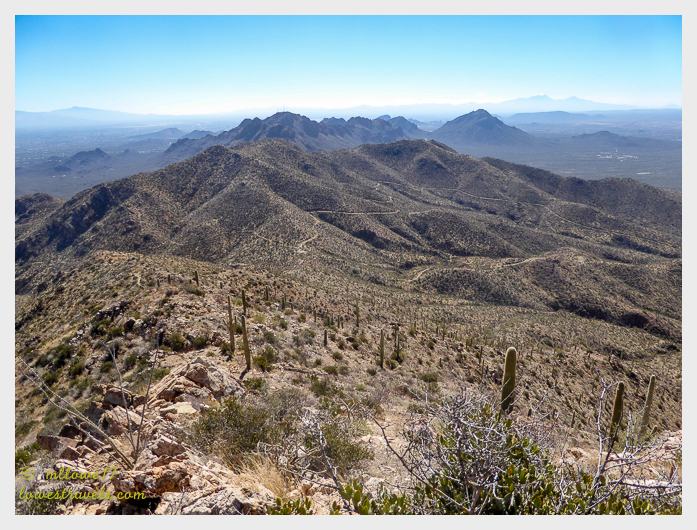 Tucson Mountains