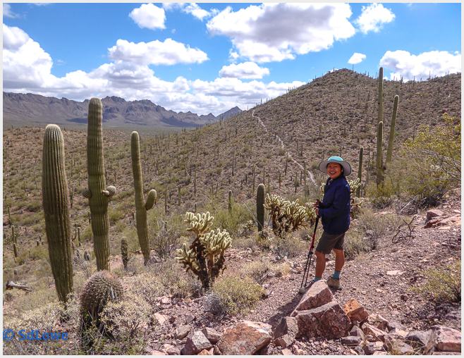 Brown Mountain Trail