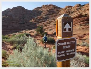 Coyote Buttes Permit