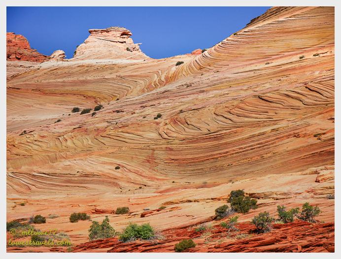 North Coyote Buttes