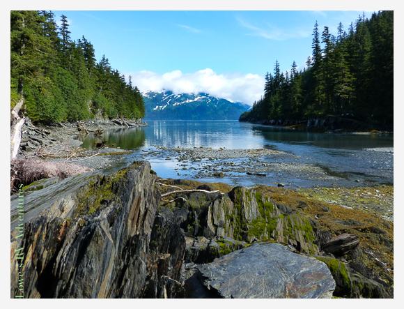 Shotgun Cove