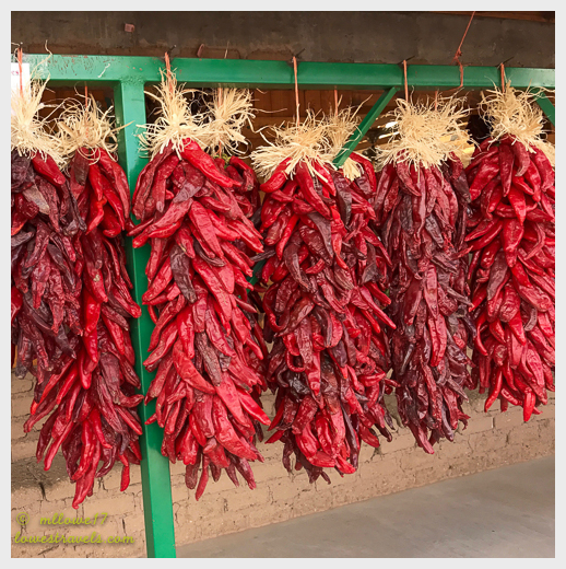 Healing and fun continue in New Mexico