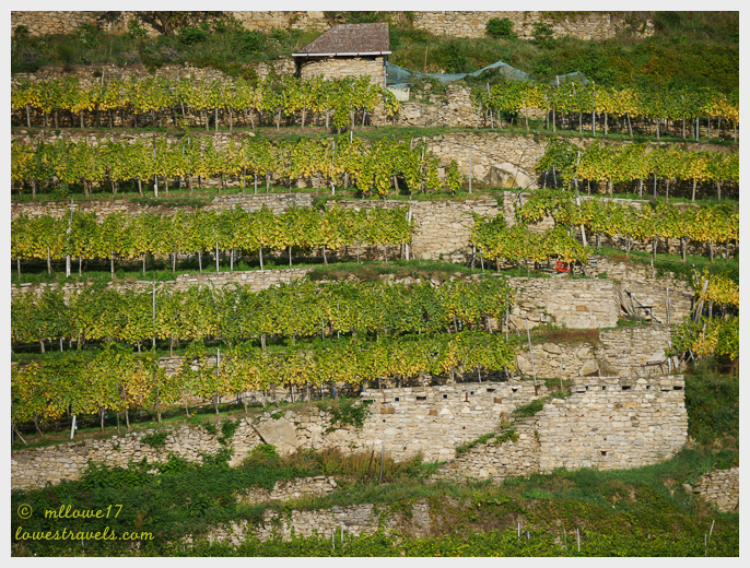 Wachau landscape.