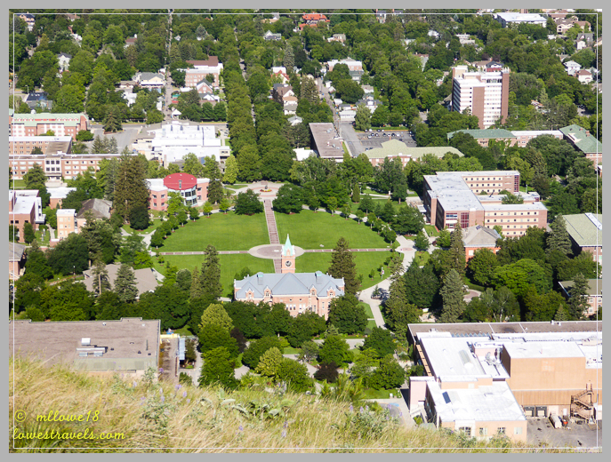 University of Montana