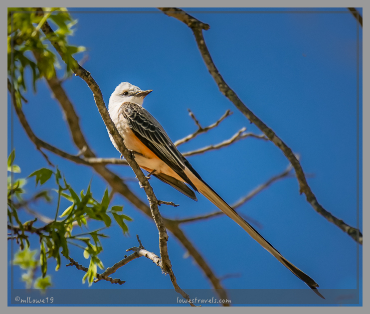 Heading for the Hills – Texas Hill Country
