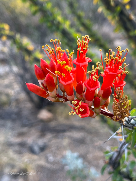 A year later – settled into our new life