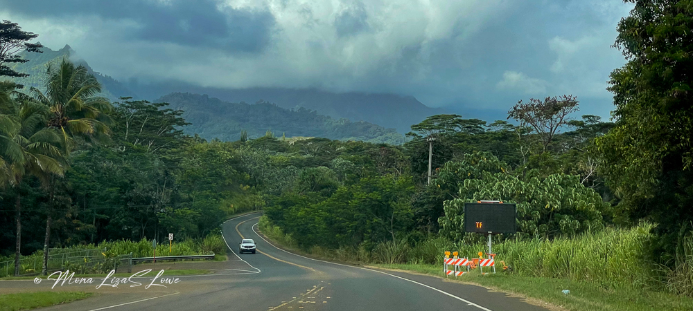 Kuhio Highway 560