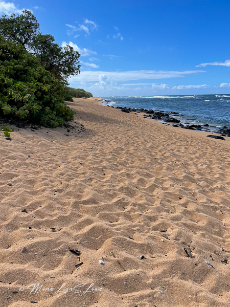 Larsen's Beach