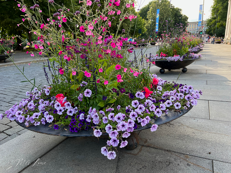 Homelands Cruise – Oslo, Norway