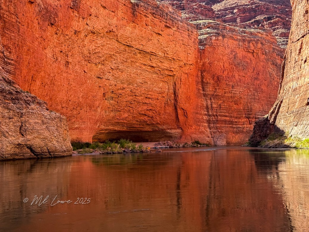 Scenic view of red rock cliffs reflecting in the calm waters of the Colorado River, surrounded by desert foliage in the Grand Canyon.