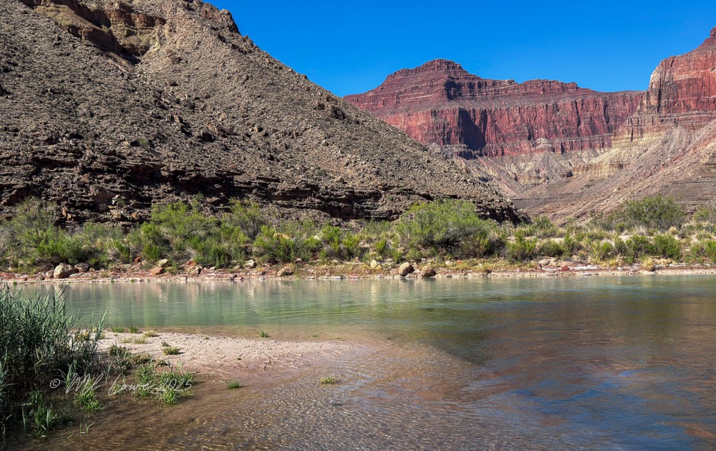Scenic view of the Colorado River surrounded by rocky canyon walls and vegetation at Grand Canyon National Park.