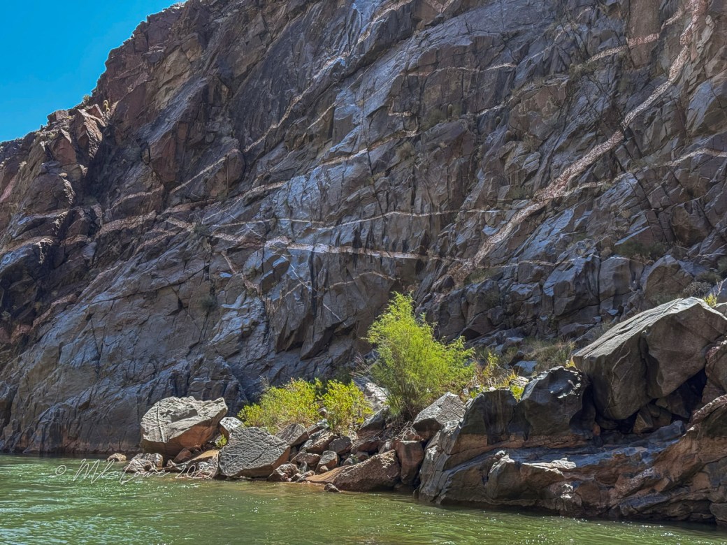 A rocky cliffside with a lush green area at the base, viewed from the Colorado River in the Grand Canyon.