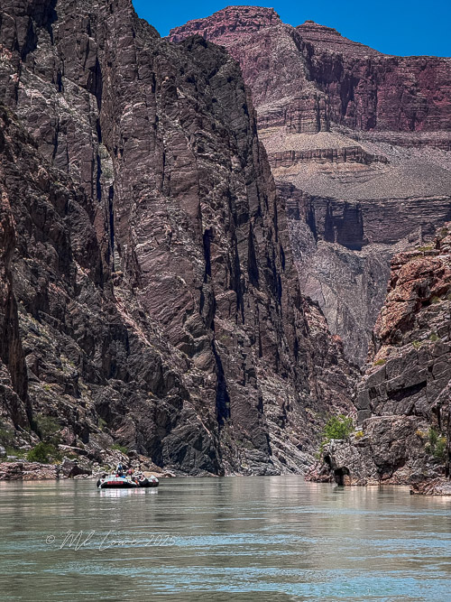 A motorized raft gliding through the Colorado River surrounded by steep rock formations in the Grand Canyon, under a clear blue sky.