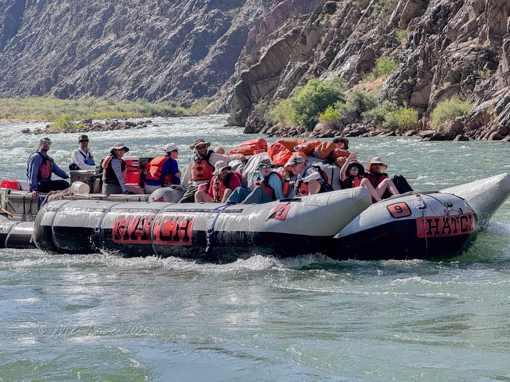 A group of people enjoying a motorized rafting trip on the Colorado River, surrounded by rocky canyon walls.