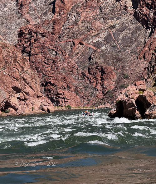 A group of rafters navigating through the rapids of the Colorado River within the Grand Canyon, surrounded by towering reddish rock formations.