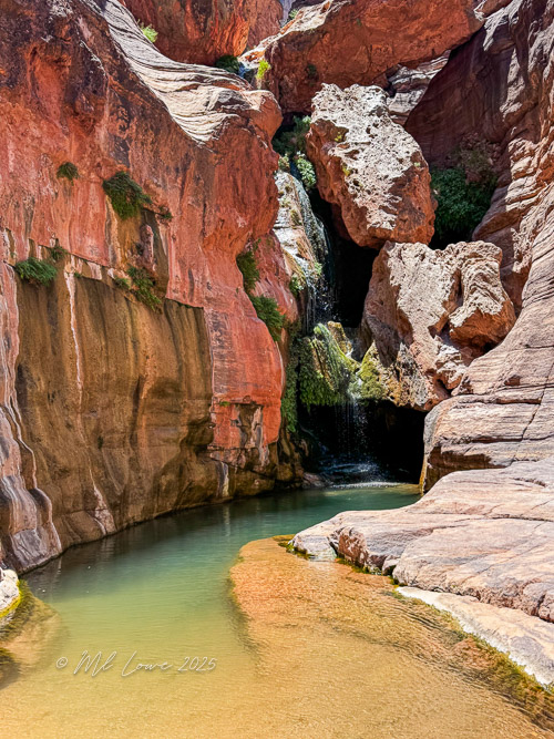A serene landscape featuring a narrow canyon with red rock walls, water pooling at the bottom, and a small waterfall cascading from above.
