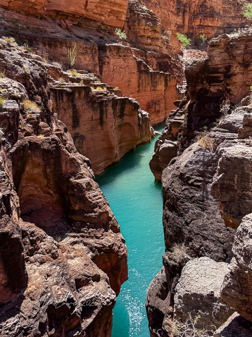 A stunning view of turquoise waters flowing through narrow canyon walls, showcasing the contrasting colors of the rocks in the Grand Canyon.