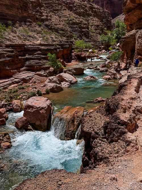 A scenic view of a flowing river in the Grand Canyon, surrounded by rocky cliffs and green vegetation, with a few hikers along the riverbank.