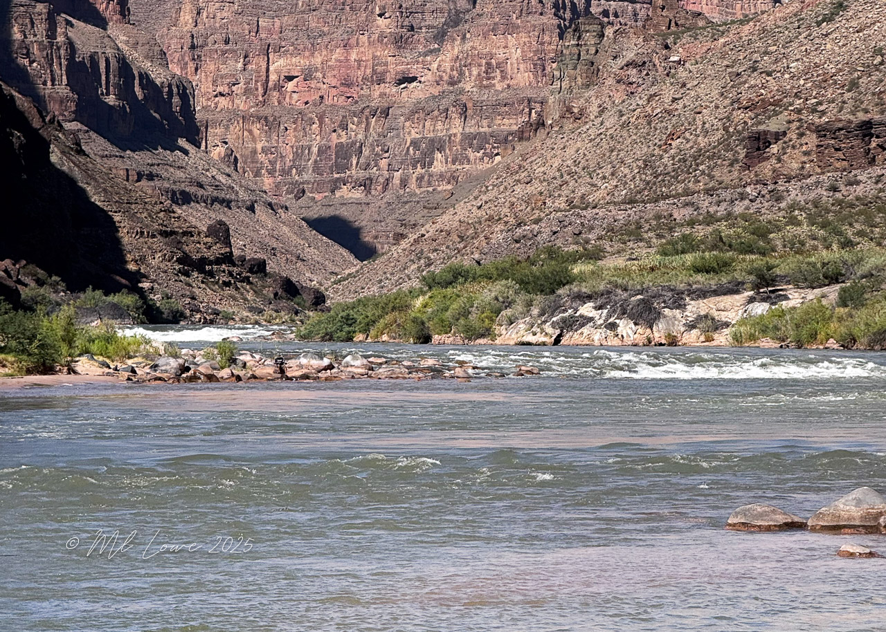 View of the Colorado River within the Grand Canyon, surrounded by rugged cliffs and vegetation, showcasing a mix of flowing water and rocky terrain.