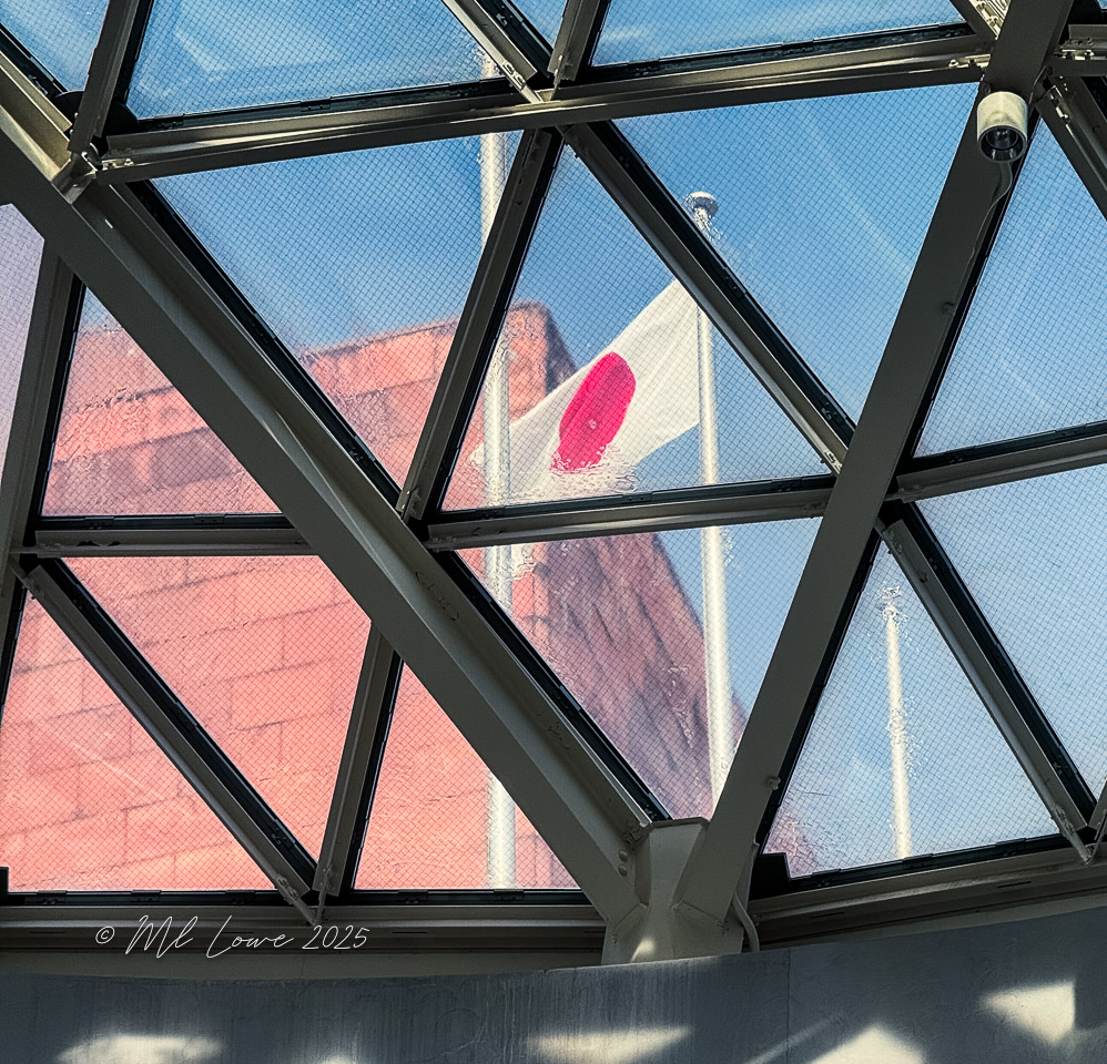 Japan Flag
