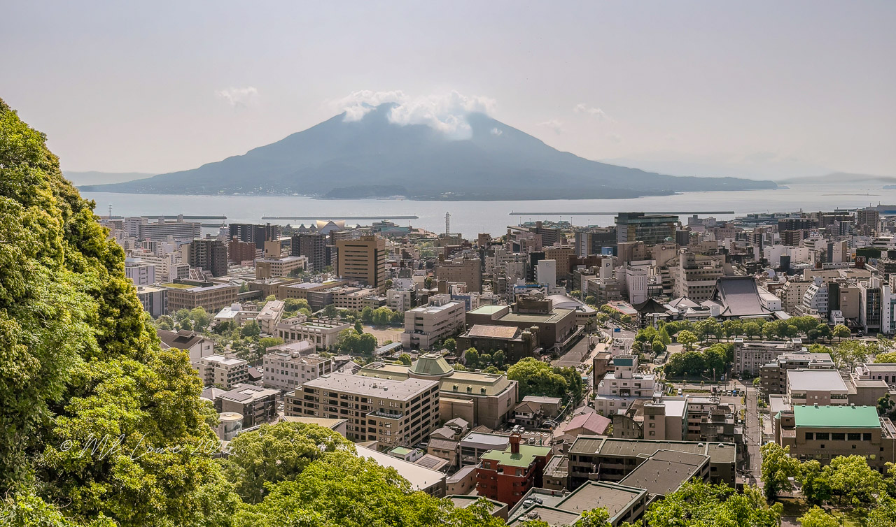 A panoramic view of Kagoshima city with the Sakurajima volcano in the background, featuring a mix of urban buildings and lush greenery.