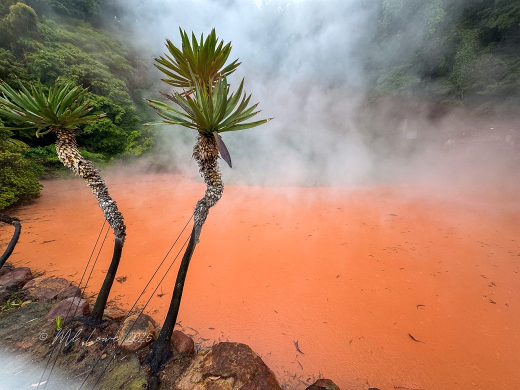 A view of the Bloody Hell Pond in Beppu, Japan, featuring two tall palm-like plants in the foreground with steam rising from a vividly orange hot spring in the background.