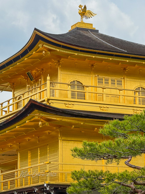 Postcards from Japan, part 3 – Osaka, Shimizu and Tokyo