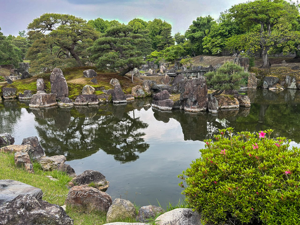A serene Japanese garden featuring a calm pond surrounded by moss-covered rocks and lush greenery.