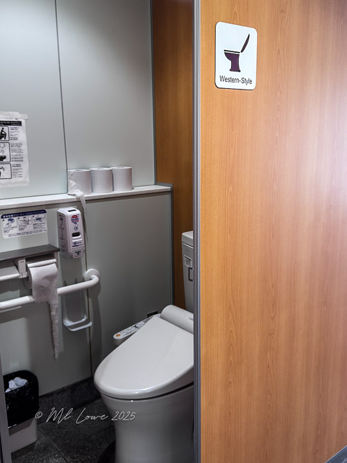Interior view of a modern bathroom stall featuring a Western-style toilet and wooden paneling.