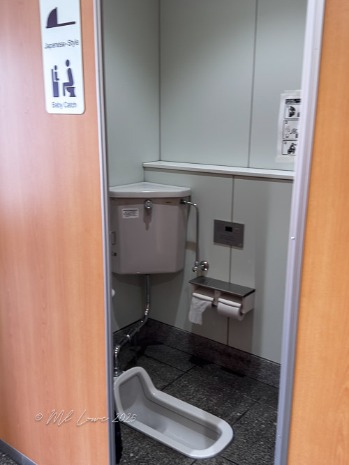 Interior view of a traditional Japanese squat toilet in a public restroom.