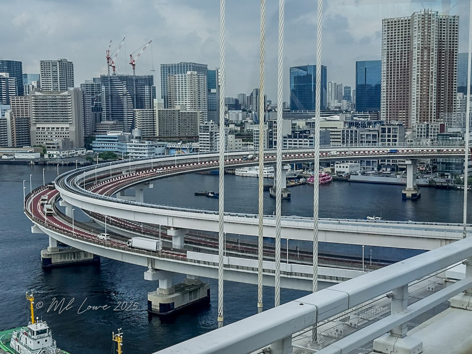 View of a modern urban landscape in Tokyo, featuring a curved highway above a river, with skyscrapers and buildings in the background.