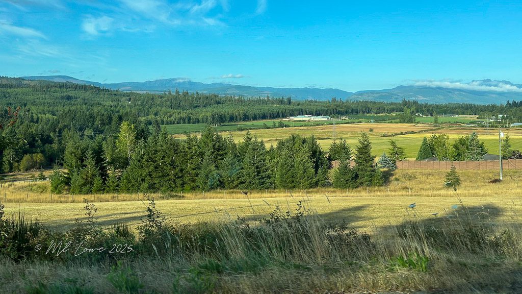 A scenic view of green fields and pine trees under a clear blue sky, with mountains in the background.