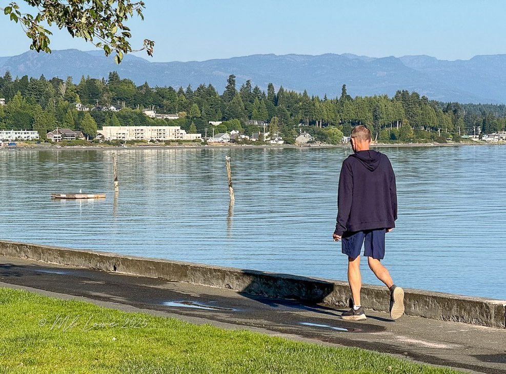 A person walking along a path by a calm body of water, with lush greenery and distant mountains in the background.