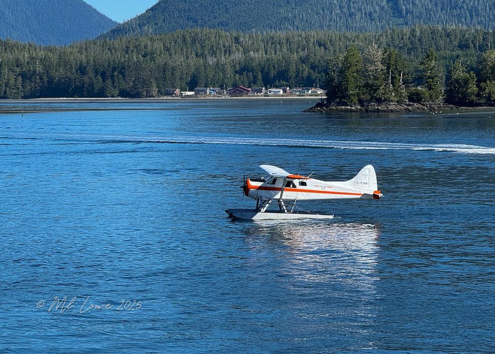 A seaplane on a calm blue lake, surrounded by lush green forests and distant mountains.