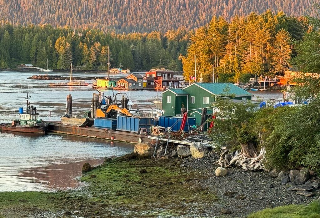 Scenic view of a harbor with colorful houses, boats, and surrounding forested hills.