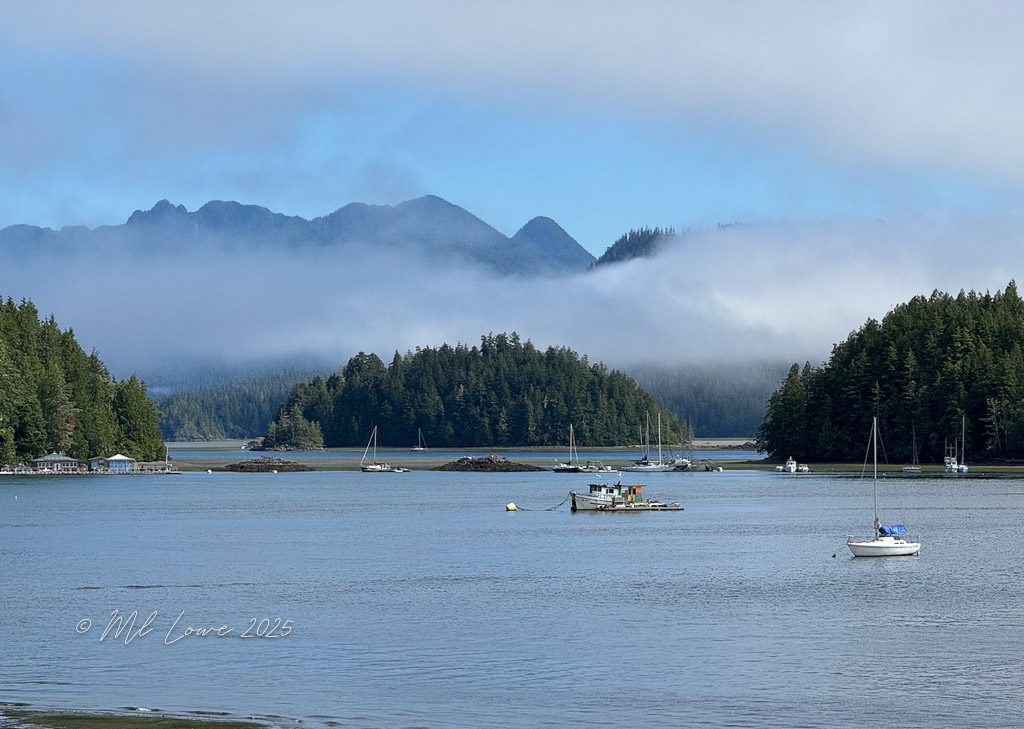 A scenic view of a calm bay surrounded by lush green forests, with boats anchored in the water and mountains shrouded in mist in the background.