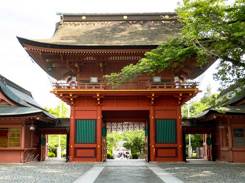 A traditional Japanese shrine gate adorned with red and green colors, featuring a large thatched roof and decorative details, surrounded by greenery.