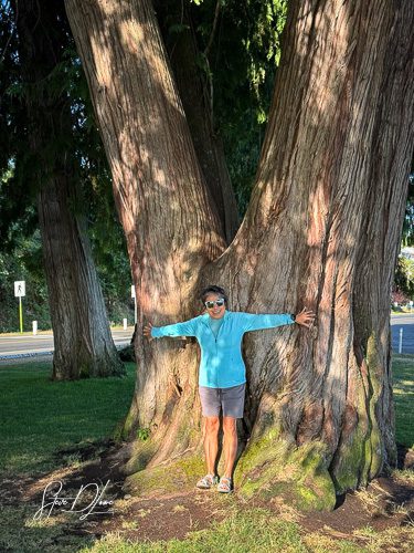 A person in a blue shirt stands with arms outstretched, smiling while hugging a large tree trunk, with sunlit greenery in the background.