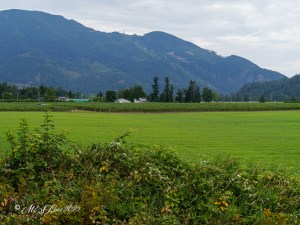 Lush green fields in the foreground with a backdrop of mountains under a cloudy sky.