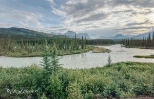 A scenic view of a river flowing through a forested area, surrounded by mountains under a cloudy sky in the Canadian Rockies.