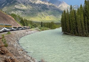 A scenic view of a train traveling along a riverbank in the Canadian Rockies, surrounded by lush evergreen trees and majestic mountains in the background.