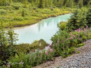 A scenic view of a river surrounded by lush greenery and colorful wildflowers, captured along the Rocky Mountaineer train route in the Canadian Rockies.