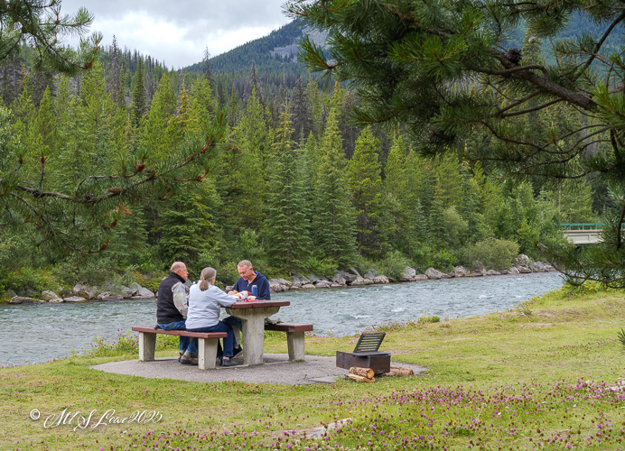 A group of three people enjoying a meal at a picnic table by a river, surrounded by lush green trees and mountains.