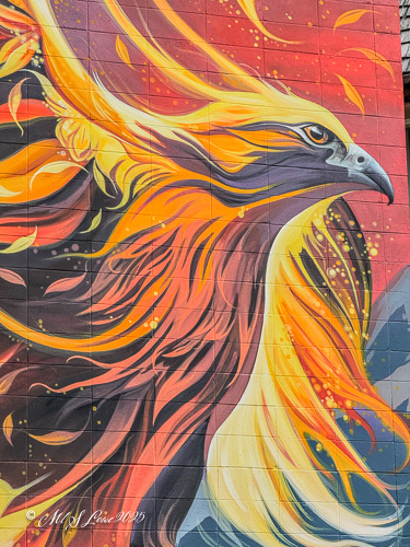 Colorful mural of a phoenix with vibrant orange, yellow, and red flames against a textured background.