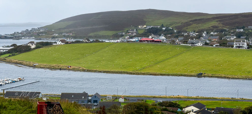 Scenic view of a grassy hillside with scattered sheep, overlooking a river and a small town, set against a backdrop of rolling hills under an overcast sky.
