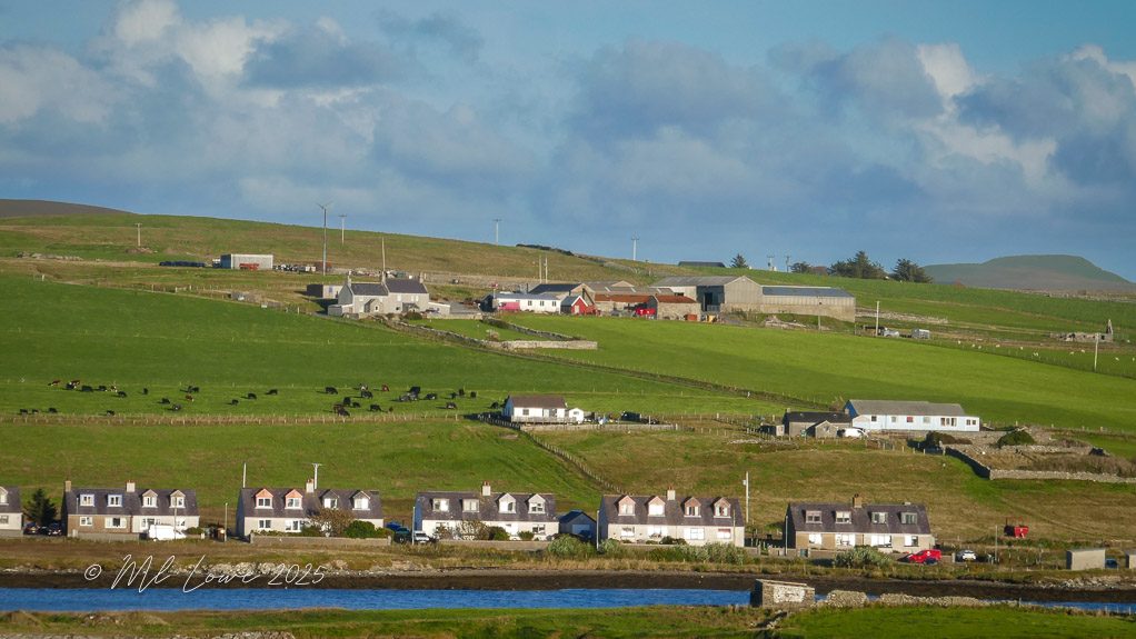 A scenic view of rolling green hills with scattered farmhouses and livestock, set against a bright blue sky with a few clouds.